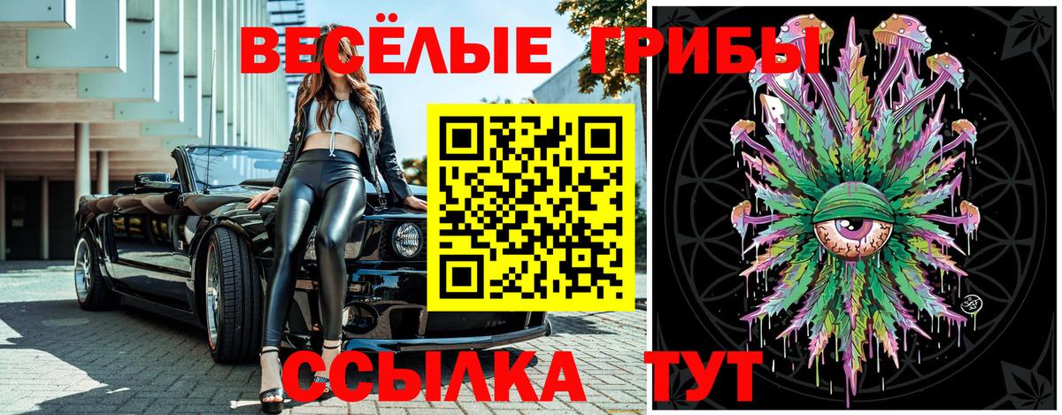 Псилоцибиновые грибы GOLDEN TEACHER Красный Сулин